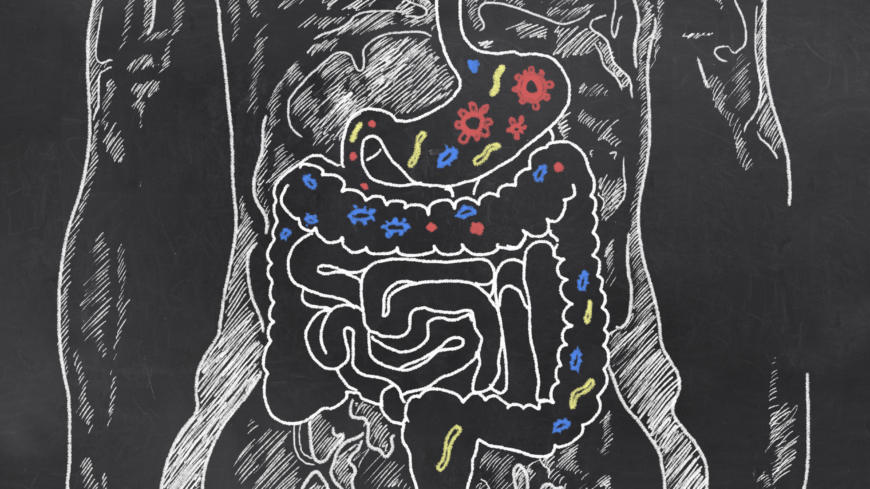 Tabletterna i studien utformade så att bakterierna verkligen skulle exponeras i tjocktarmen, vilket krävs för den kliniska dokumentationen.  Foto: Shutterstock